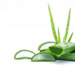Cómo elaborar jugo de Aloe Vera