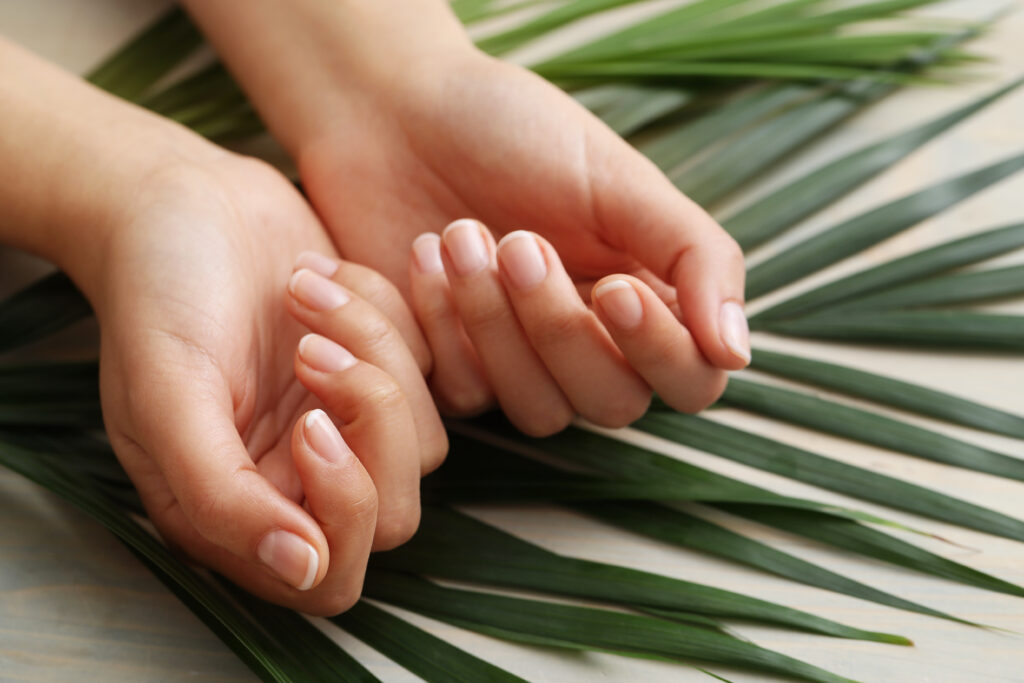 manos de mujer sobre hojas de palmera cuidado con manicura